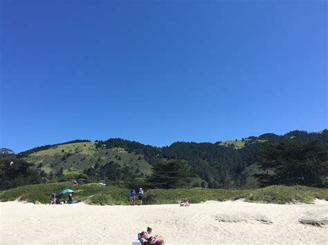 Pantoll to Stinson Beach Loop Via Matt Davis, Dipsea, and Steep Ravine ...