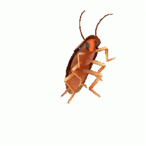 Dancing Cockroach Sticker – Dancing Cockroach Meme – discover and share ...