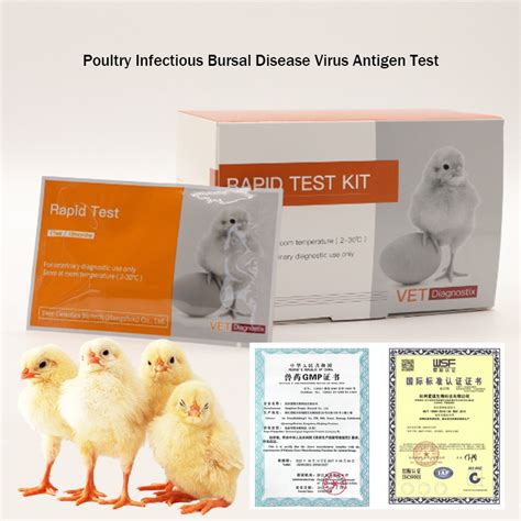 Poultry Infectious Bursal Disease Virus Antigen Test Infectious Bursal ...