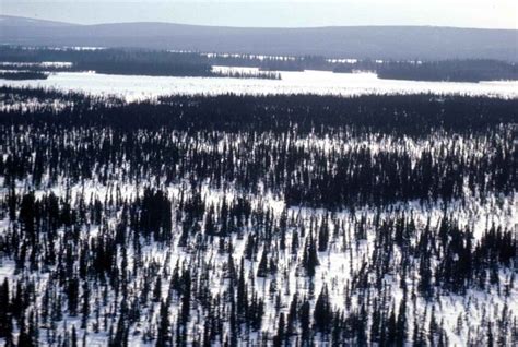 Free picture: river, basin, winter