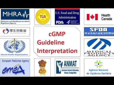 Most referred GMP guidelines in Pharma industry: - Howzillaa