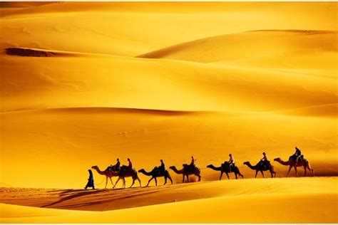 15 Best Marrakech Desert Tours - TourScanner