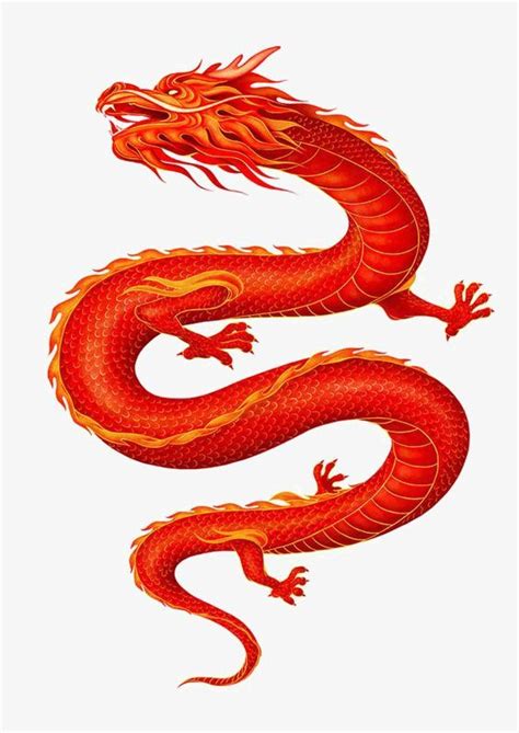 Chinese Dragon PNG Image