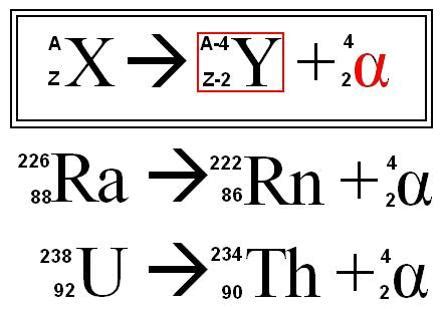 Image | Radiopaedia.org