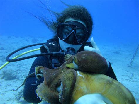 Honolulu Scuba Diving tours - Oahu, Hawaii