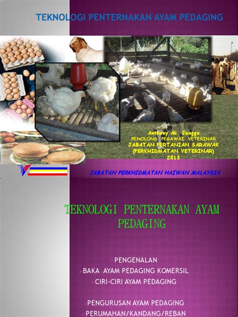 Teknologi Penternakan Ayam Pedaging | PDF