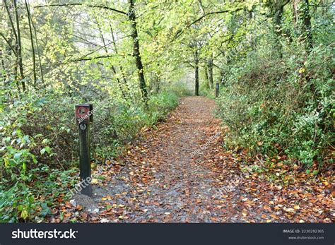 Stover Country Park Home Wildlife Stock Photo 2230292365 | Shutterstock