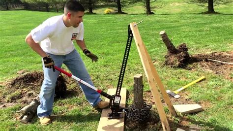 Cool How To Kill Trees Growing In Fence 2022