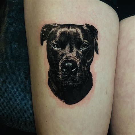 Part I of my Danzig dog portrait by Matt Greskiewicz @ The Séance ...