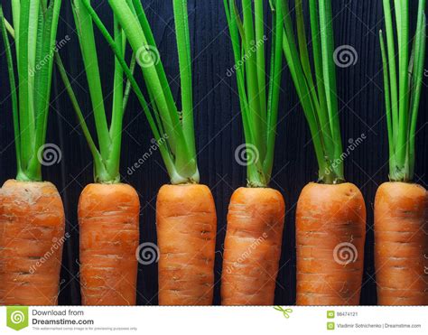 Carrot Texture for Background Stock Image - Image of background ...