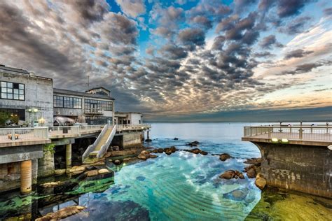 Monterey Bay Aquarium will be a ’Voice for the Ocean’ at U.N. Ocean ...