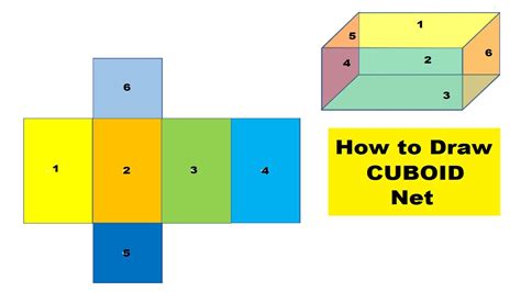 How To Draw The Net Of A Cuboid - Artistrestaurant2