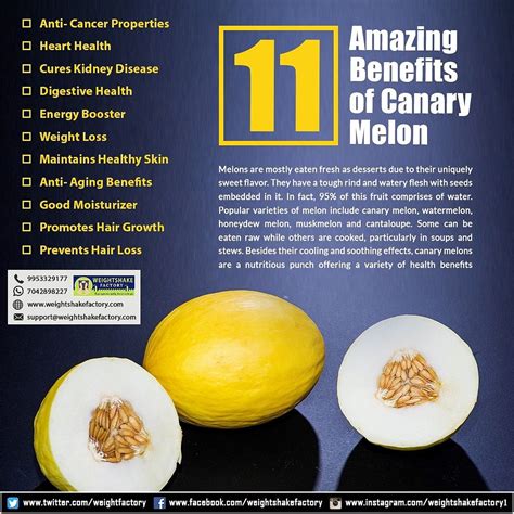 11 AMAZING BENEFITS OF CANARY MELON Melons are mostly eaten fresh as ...