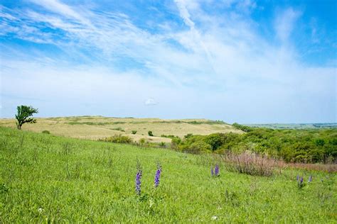 Konza Prairie Research Natural Area - All You Need to Know BEFORE You ...