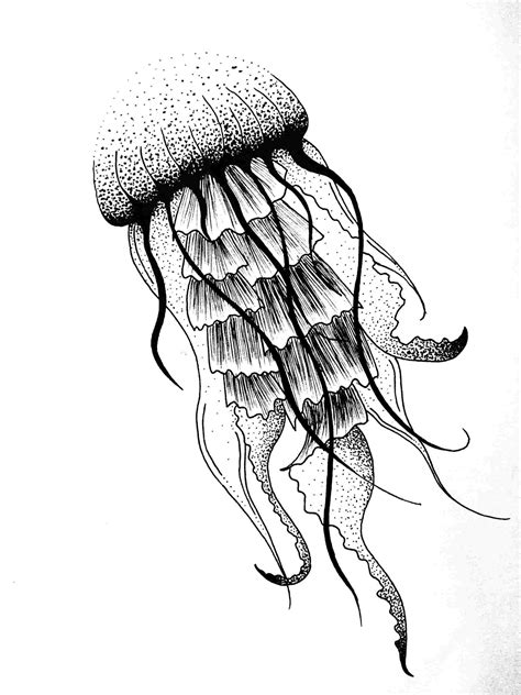 Jellyfish Drawing For Kids | Free download on ClipArtMag