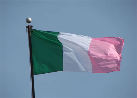 The Pink, White and Green of Newfoundland - Danny O'Flaherty