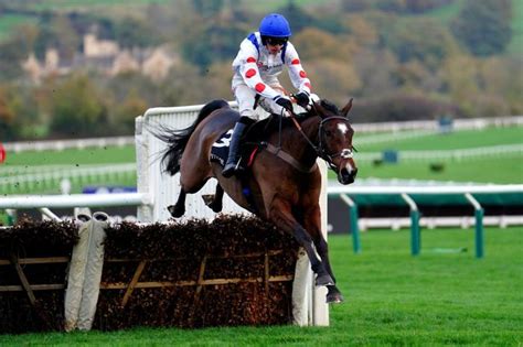 Hermes Allen on target in Ballymore Novices' Hurdle at Cheltenham ...