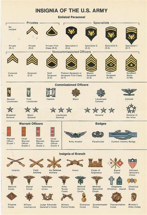 Insignia of the US Army guide : coolguides | Military ranks, Army ranks ...