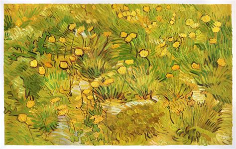 A Field of Yellow Flowers - Vincent van Gogh Paintings