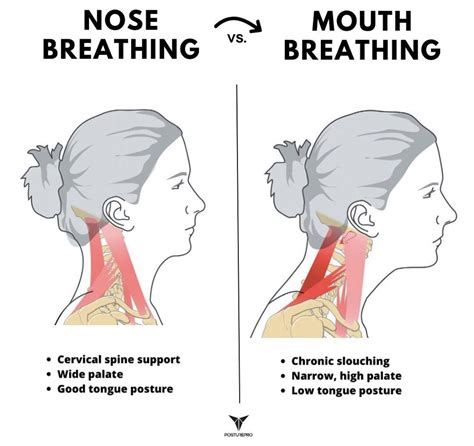 Nose Breathing Mouth Breathing And Why It Matters, 41% OFF