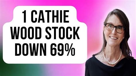 1 Cathie Wood Stock Down 69% You'll Regret Not Buying on the Dip | The ...