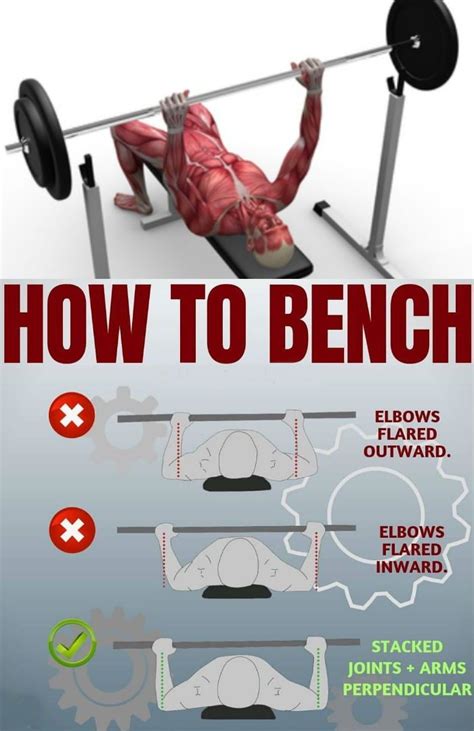 Technique For a Big Chest - How to Bench Press - GymGuider.com | Weight ...