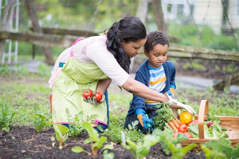 How to Use a Planting Calendar to Grow Food