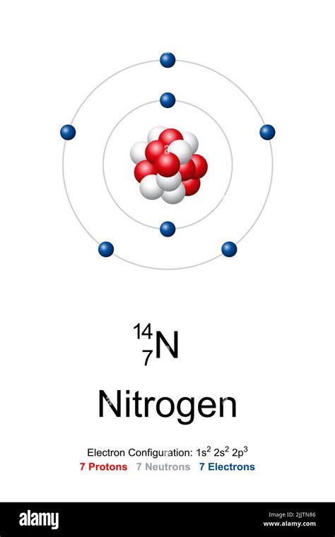 Nitrogen, atom model. Chemical element with symbol N and with atomic ...