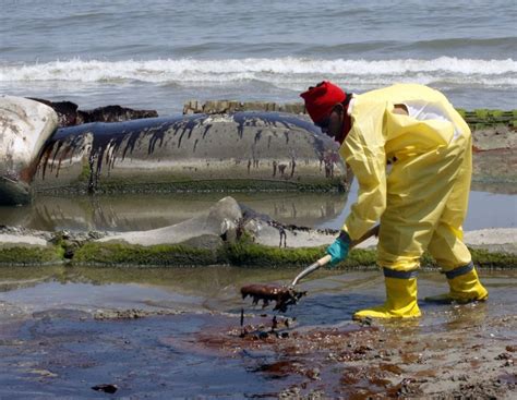 BP oil spill left 'bathtub ring' of oil across the Gulf floor - UPI.com