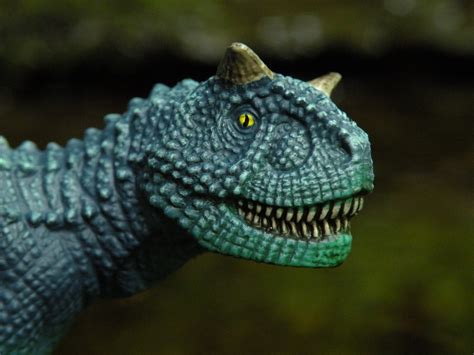 Carnotaurus (Mini Dinosaur Collection by Schleich) | Dinosaur Toy Blog