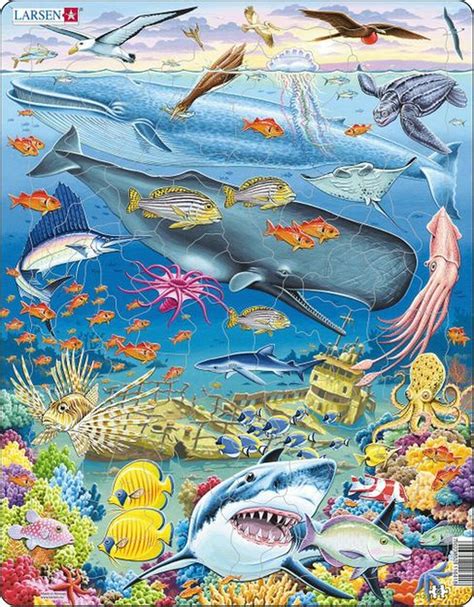 Marine Life in the Pacific Ocean, 66 Pieces, Larsen Puzzles | Puzzle ...