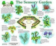 sensory garden design - Google Search | Sensory garden, Horticulture ...