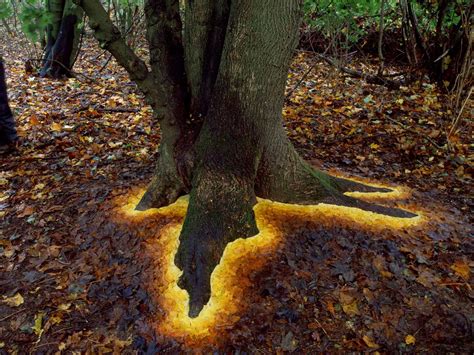 Andy Goldsworthy's Ephemeral Works: Artwork that is a testament to ...