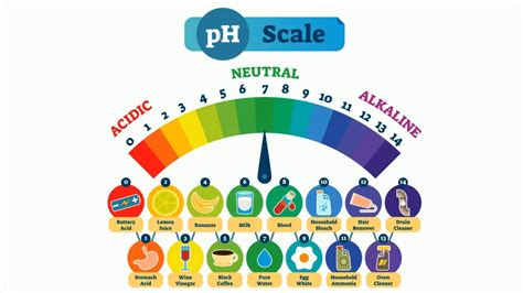 Ph Scale Horizontal