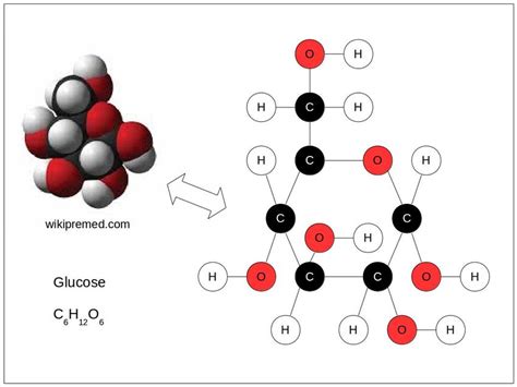 Glucose Molecule Structure