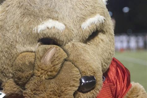 Bears mascot deemed offensive by community - Student Life