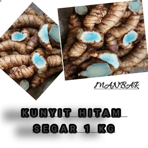 Jual kunyit hitam atau temu hitam segar 1 kg / CURCUMA CAESIA | Shopee ...