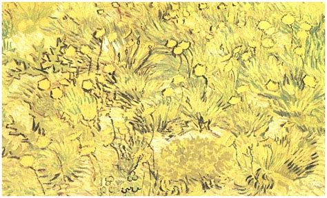 Field of Yellow Flowers, A by Vincent Van Gogh - 131