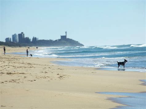 Warana Beach | 24h Dog Friendly Beach | Pupsy