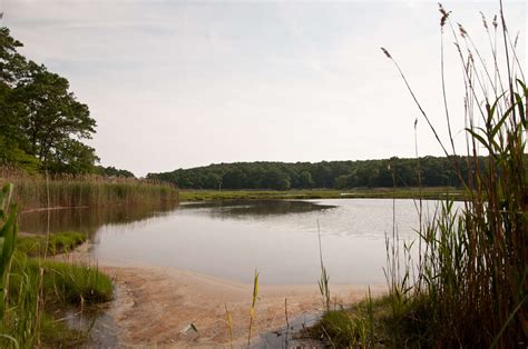 Rocky Neck State Park Campground, Rocky Neck, CT: 4 Photos