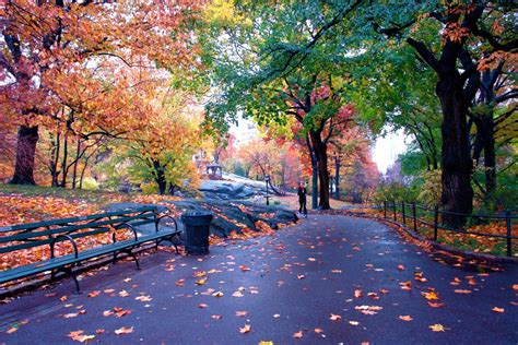 Fall Foliage Central Park | Central Park in fall. | Flickr