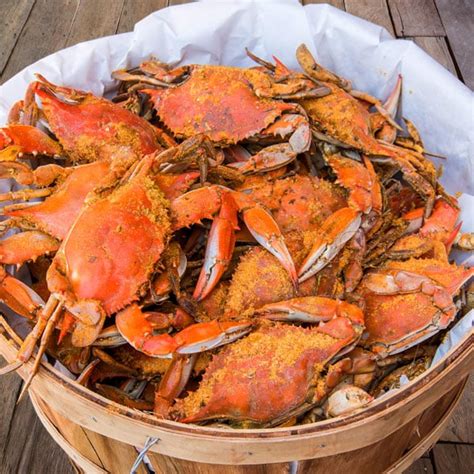 Maryland Seafood Wholesale | Bulk Ordering | Cameron's Seafood