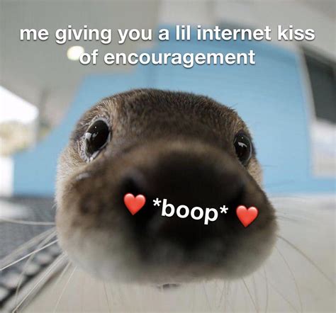 boop of encouragement | /r/wholesomememes | Wholesome Memes | Know Your ...