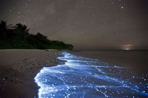 Vaadhoo Island, Maldives: the Sea of Stars