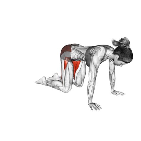 Frog Pose (Mandukasana) - How To Do Properly & Muscles Worked