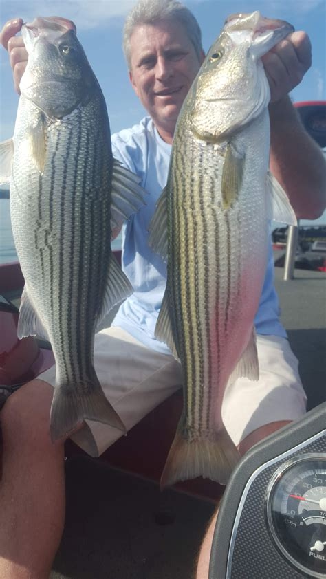 Smith Mountain Lake Fishing Report September 2020 by Captain Dale ...