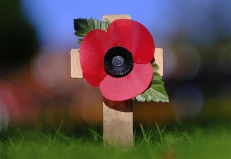 Remembrance Day: Where does the money you spend on Poppy Appeal ...