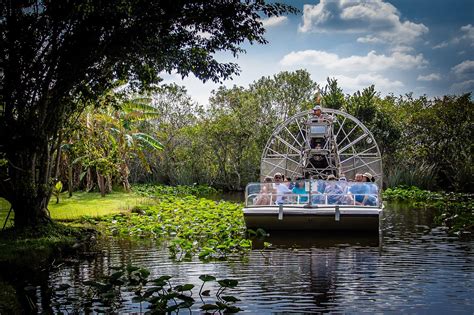 11 Best Everglades Boat Tours - Unique Landscapes and Wildlife