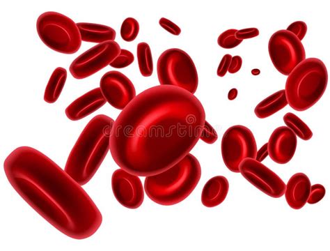 Blood cells stock illustration. Illustration of live, round - 1486574