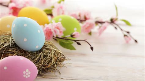 Top hơn 61 về hình nền easter hay nhất - cdgdbentre.edu.vn